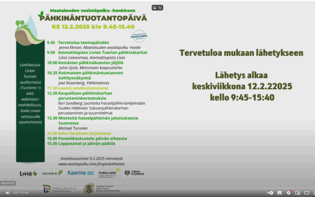 Tallenne katsottavissa Pähkinäpäivästä