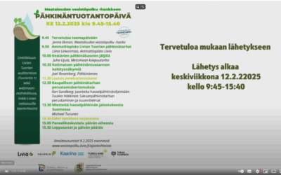 Tallenne katsottavissa Pähkinäpäivästä