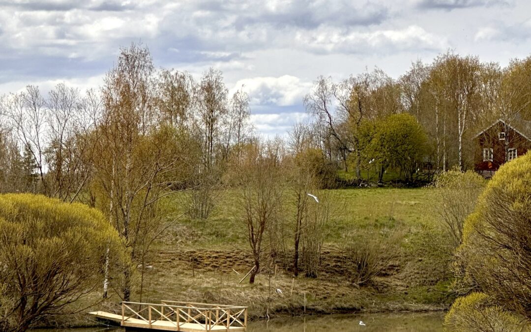 Maatalouden vesistöpolku on melkein valmis, tervetuloa avajaisjuhlaan 12.6.2025 Tuorlaan!